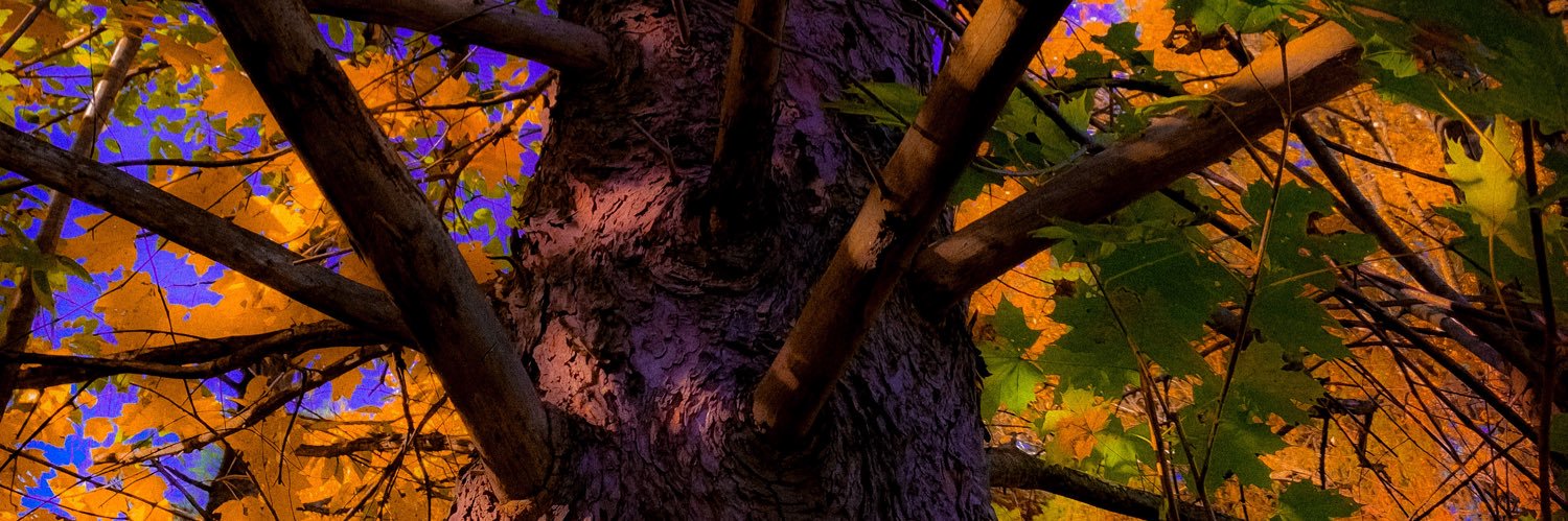 johnfehringer's profile banner image