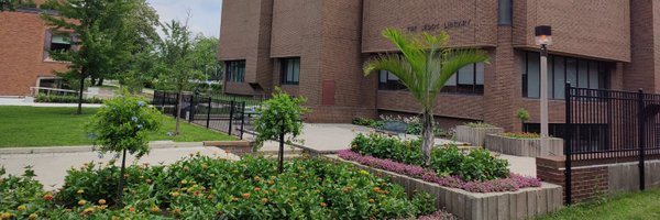 LeddyLibrary Profile Banner