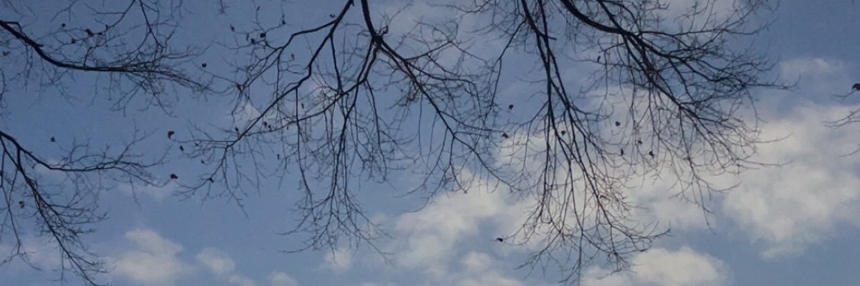 _Abdz0's profile banner image
