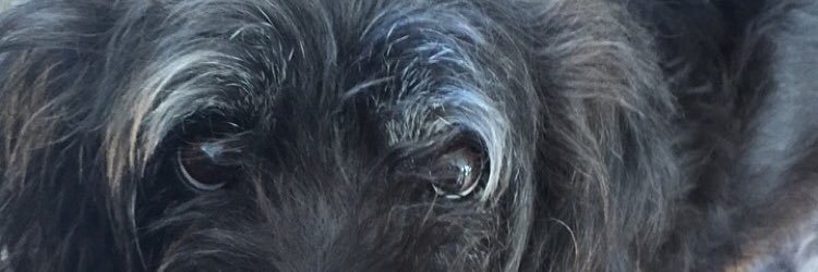 aehudson21's profile banner image