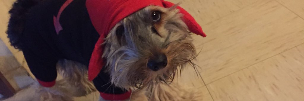 dennisesalinas7's profile banner image
