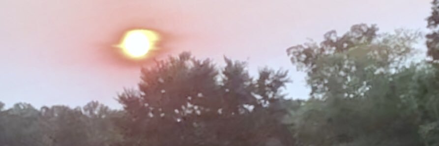 societiesweird's profile banner image