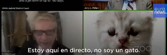 Mariel sin Capitán 💚 banner