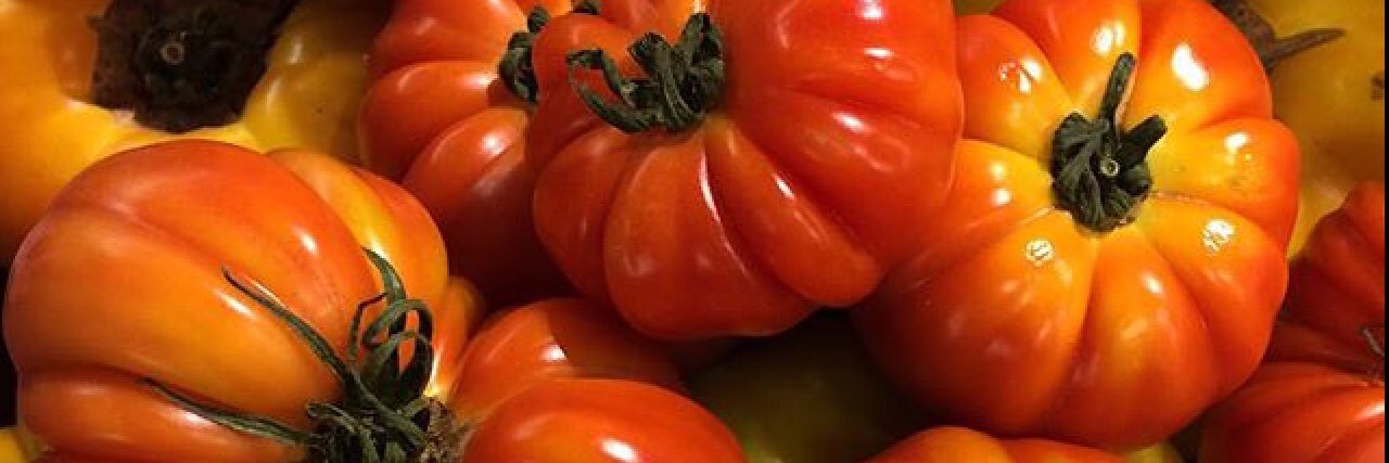 tomatotrapqueen banner