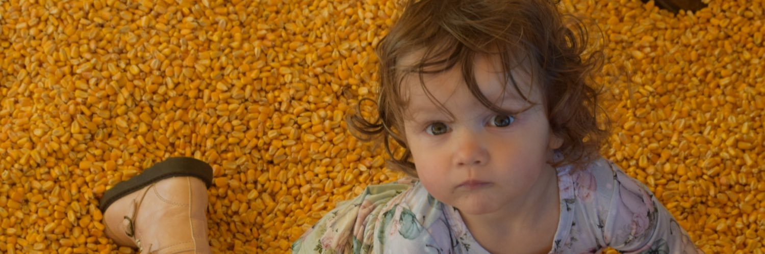 AlisonPifer's profile banner image
