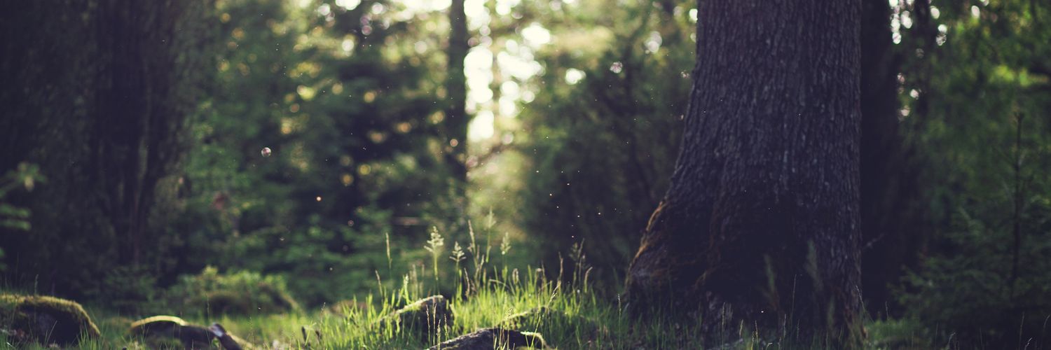 tomatomatotomX's profile banner image
