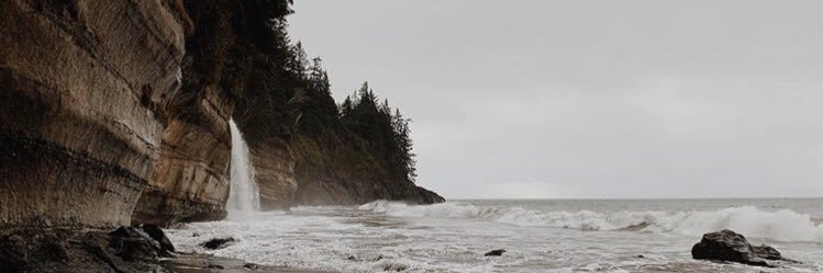 Admir Cejvanovic banner