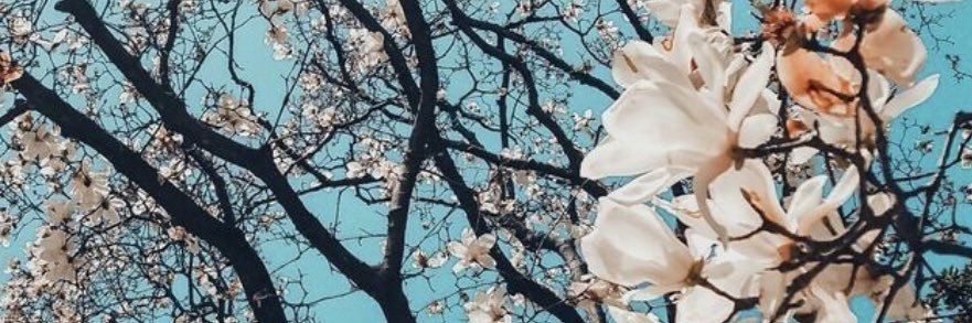 NganNguyentwt's profile banner image