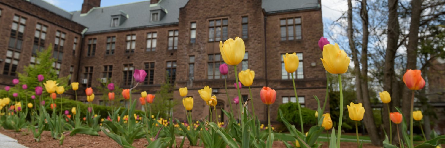 TrinAlum's profile banner image