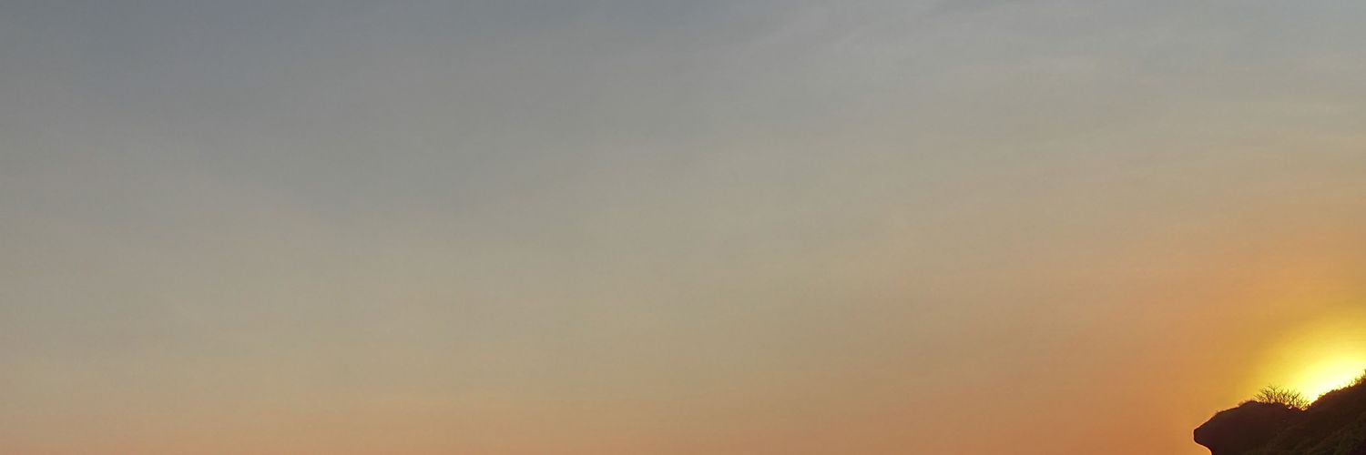 rchmnv's profile banner image