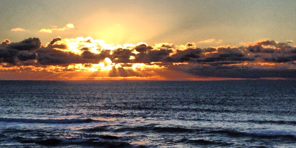 #FinoAllaFine banner