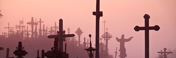 lapin__lapin Profile Banner