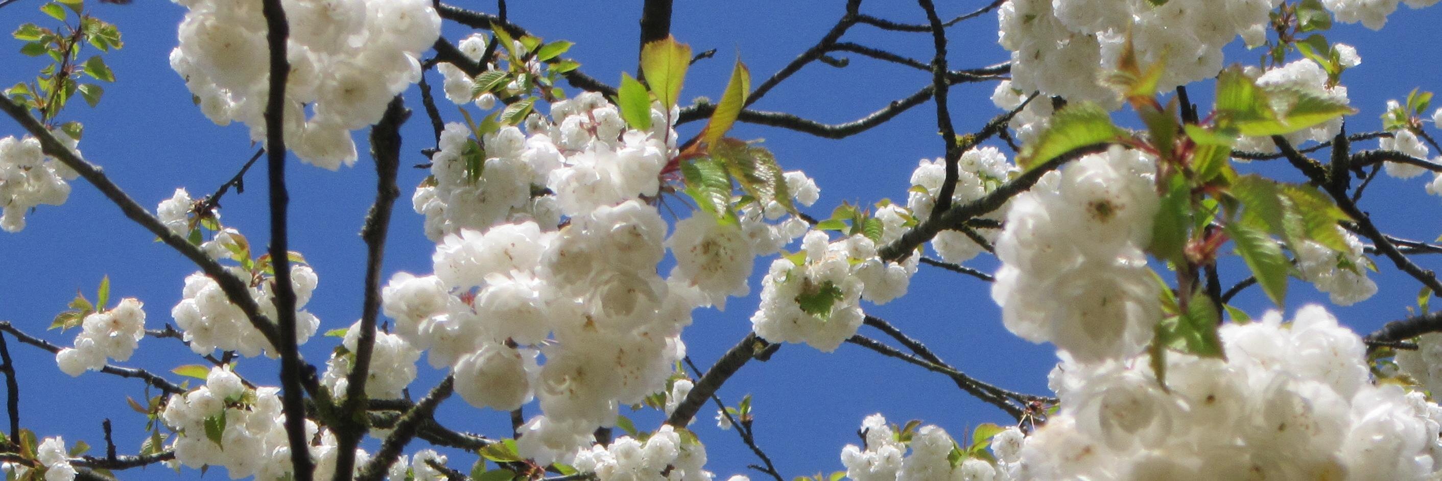 janemartinwrite's profile banner image