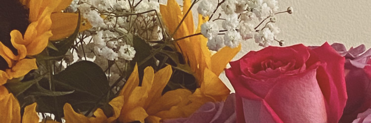 meglesperance's profile banner image
