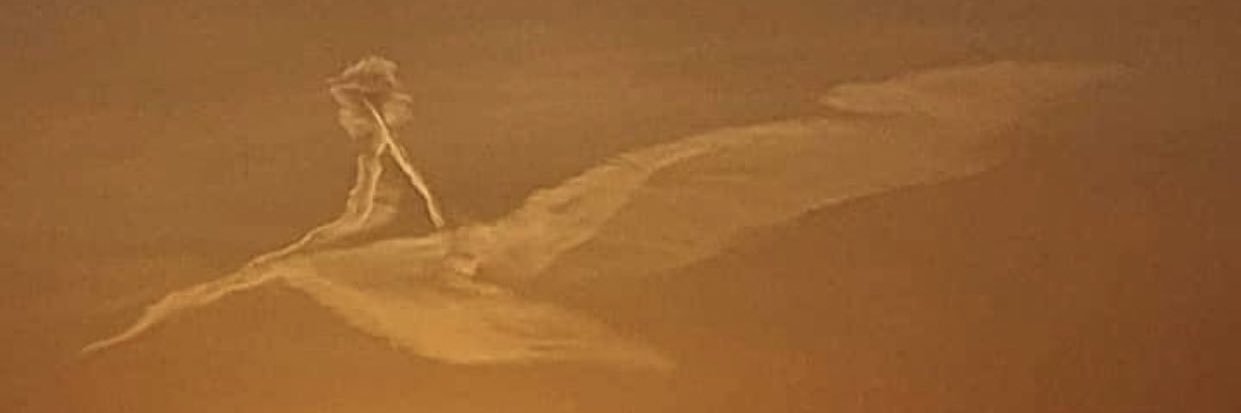 m1r88's profile banner image