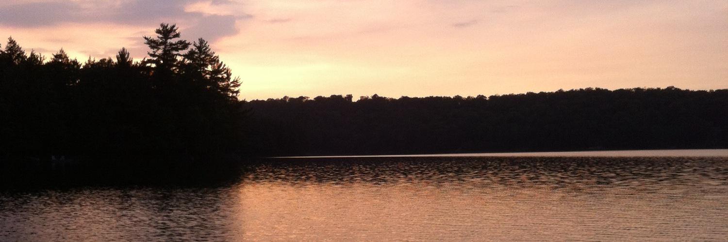 curtsbrew's profile banner image