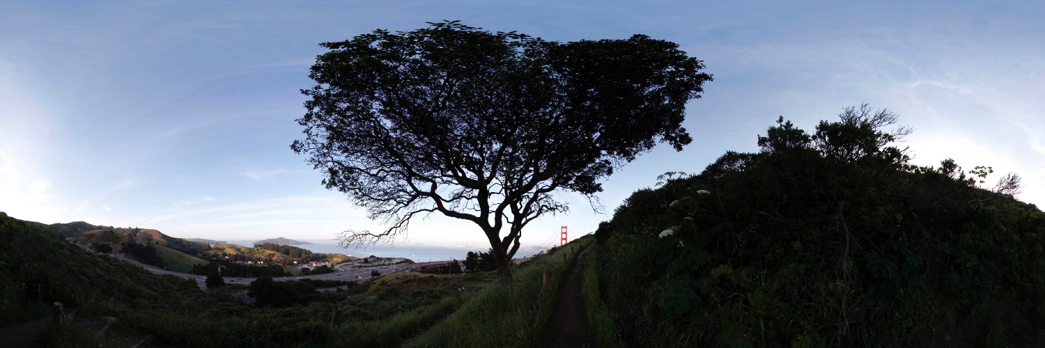 Nhat V. Meyer banner