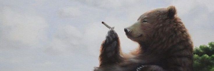 hbtoso's profile banner image