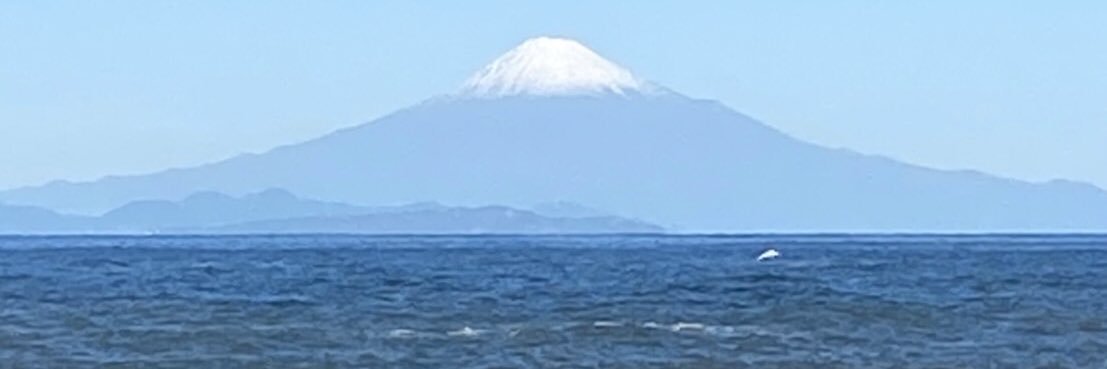 T-Crypto & Stocks (TCS) banner