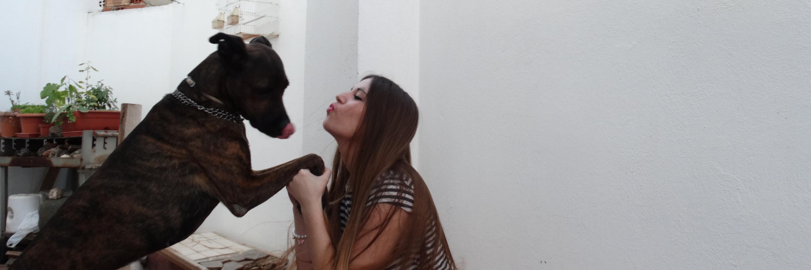Maria_moreno18's profile banner image