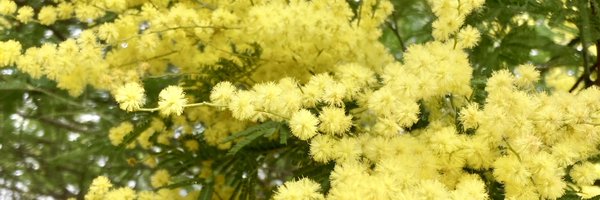 raito__418 Profile Banner