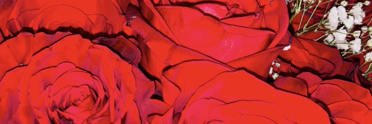 vxvoxxo's profile banner image
