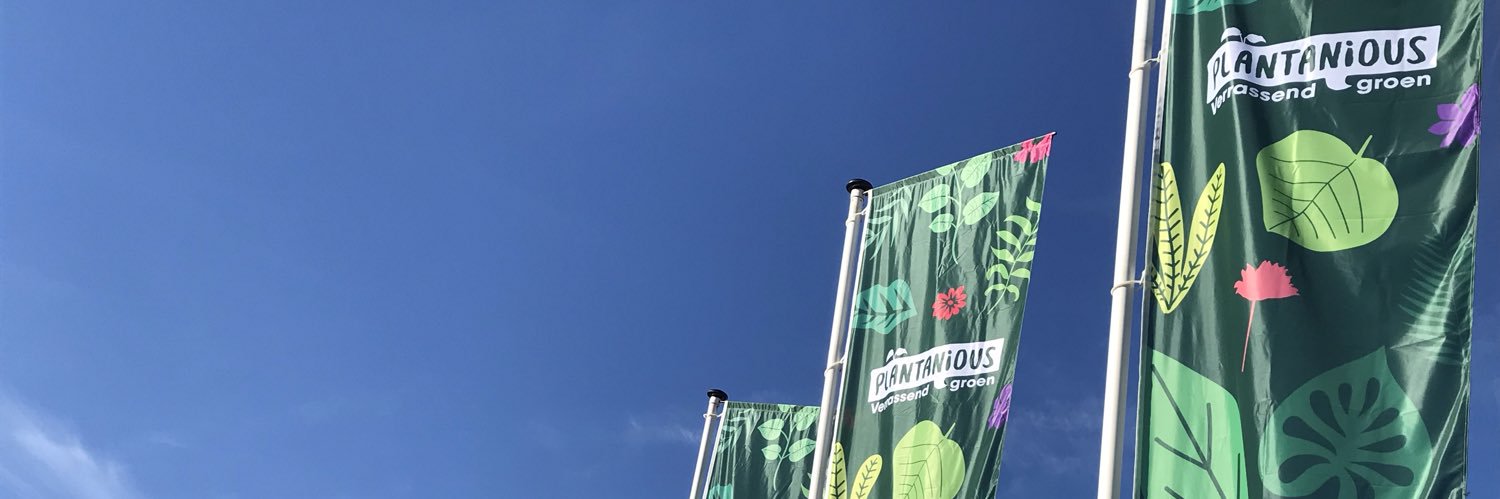 plantanious's profile banner image