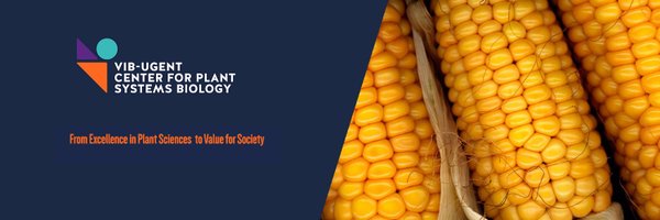 InzeDirk Profile Banner