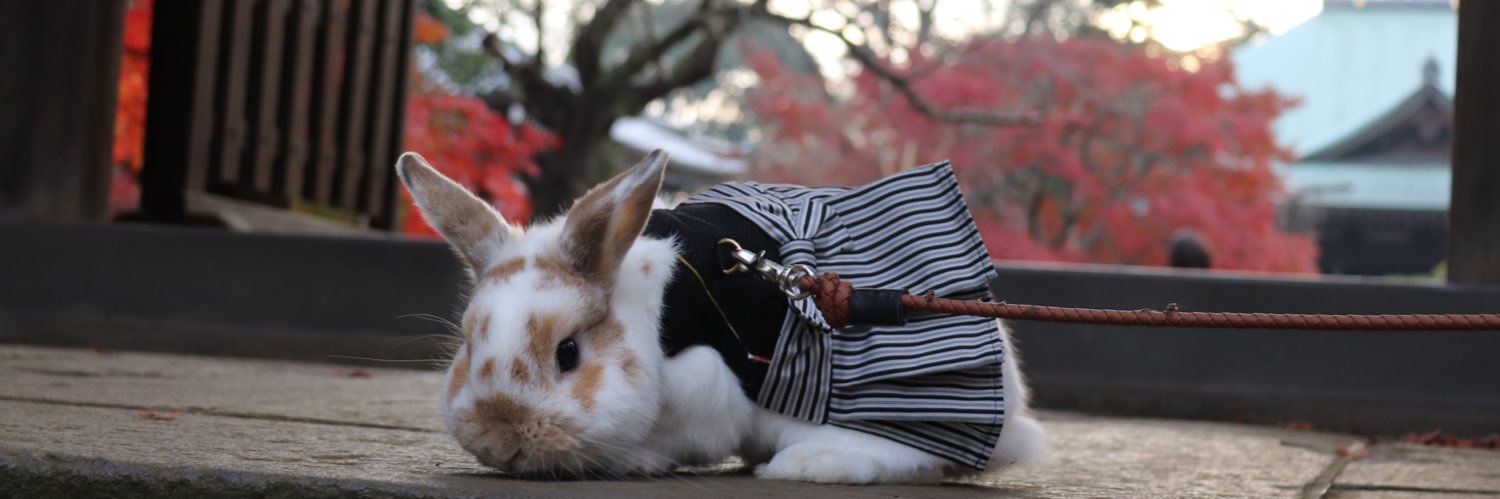 バムとケロとヤメピ banner