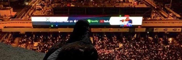 cryptocristi.sol banner