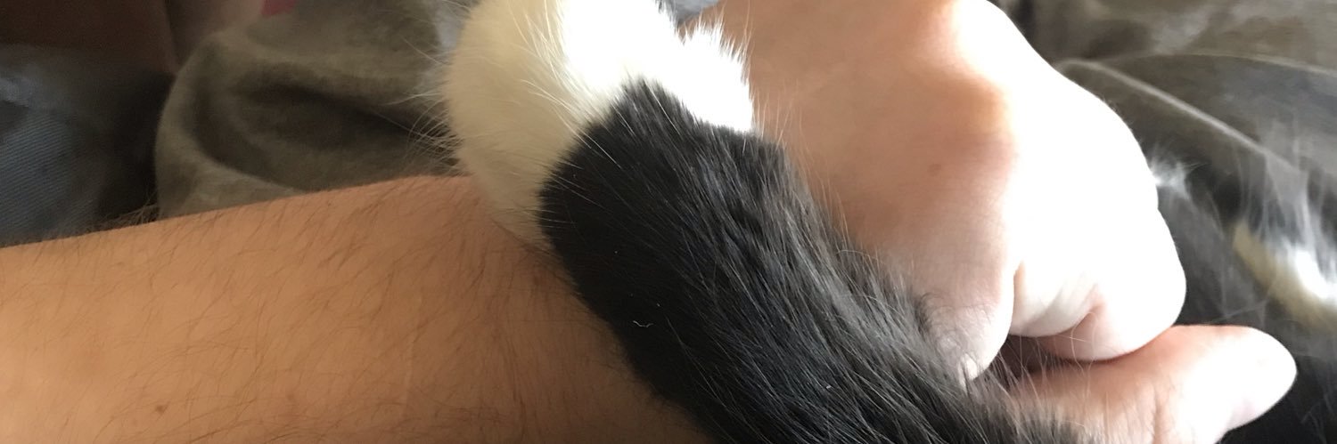KubitzVetrone's profile banner image