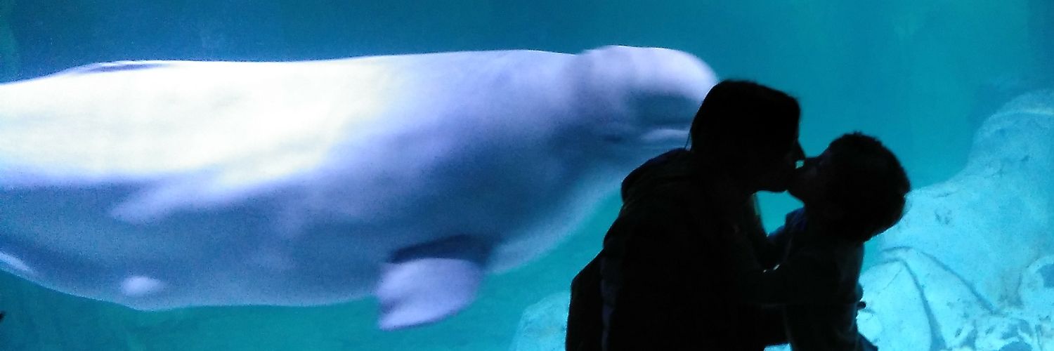 María Gómez Ballesteros banner