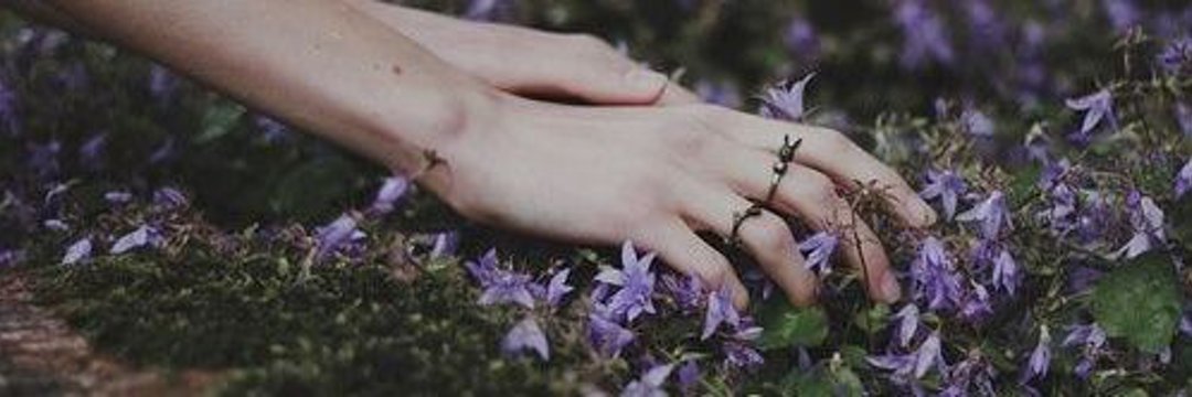 pansyshit's profile banner image