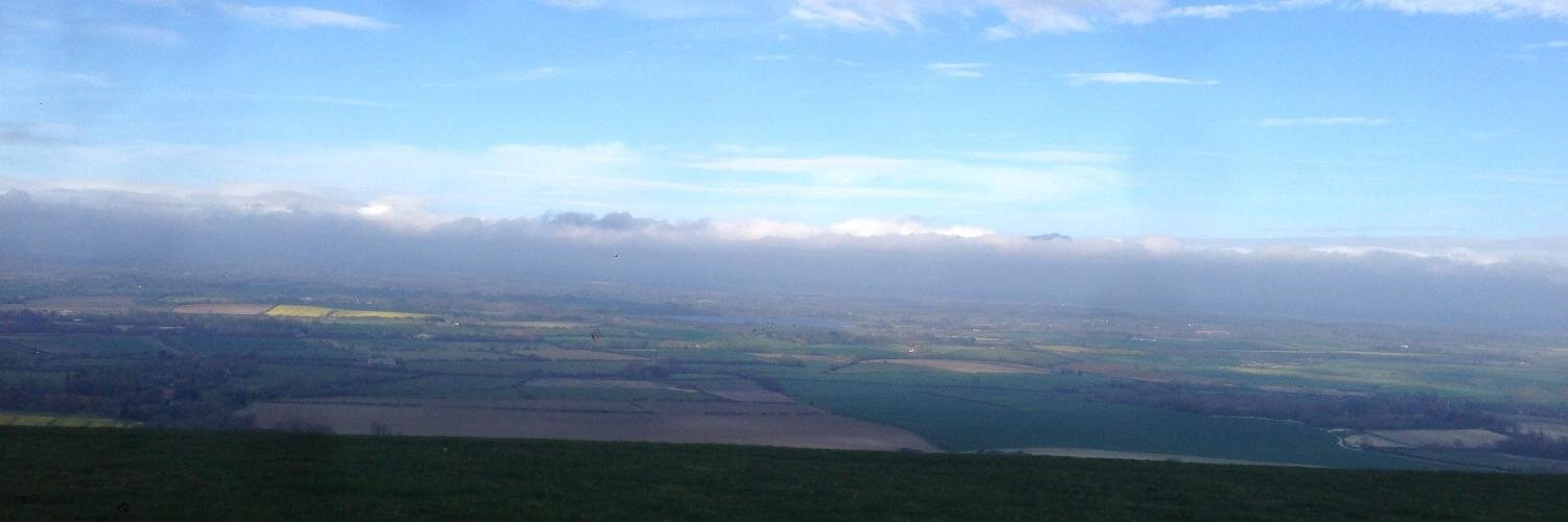 Chris Harrison banner