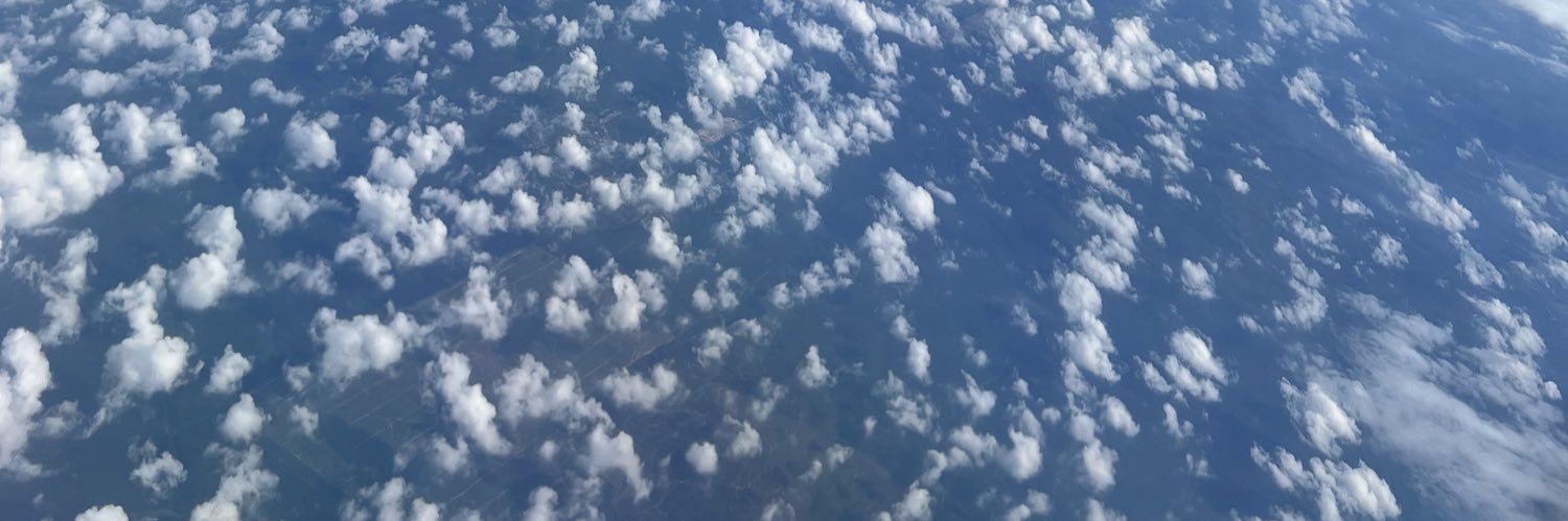 anarozianaa's profile banner image