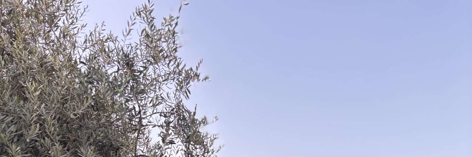 simosqueen's profile banner image