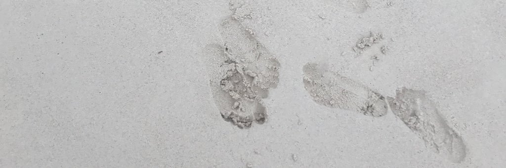 suslys's profile banner image