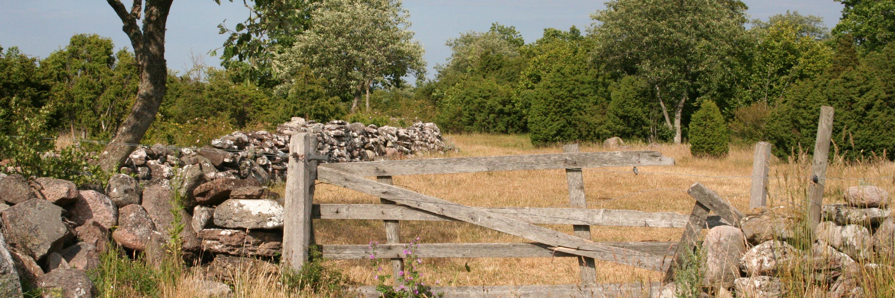 HonorPrentice banner