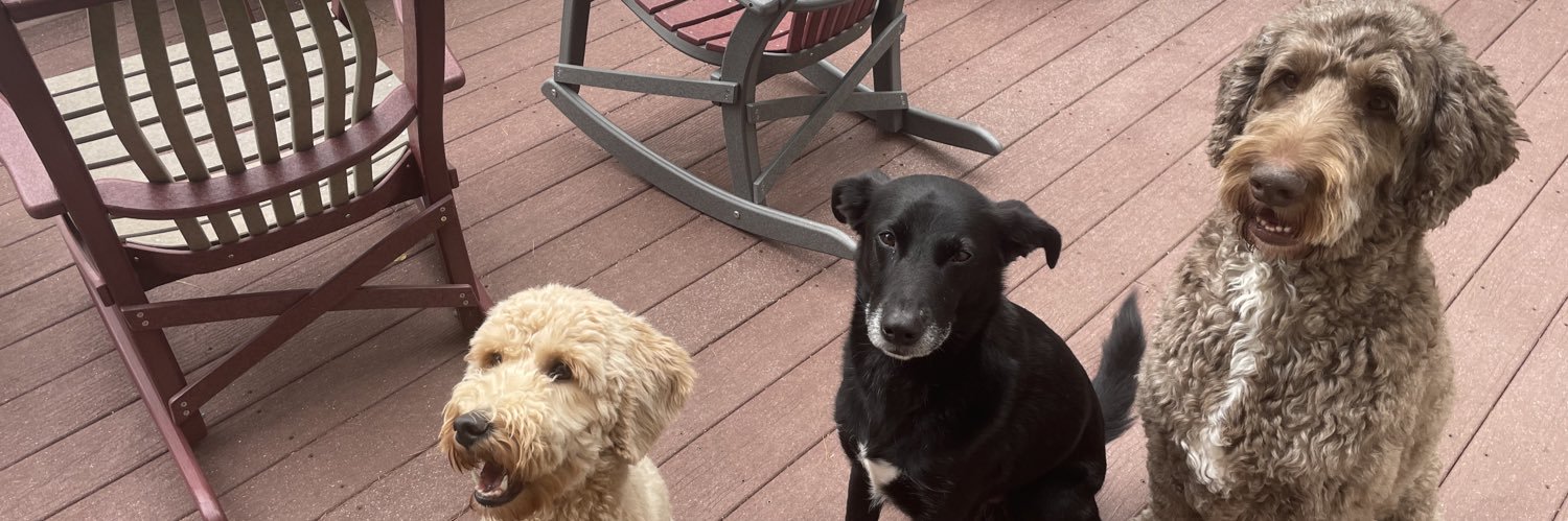 Shawna Bellaud banner