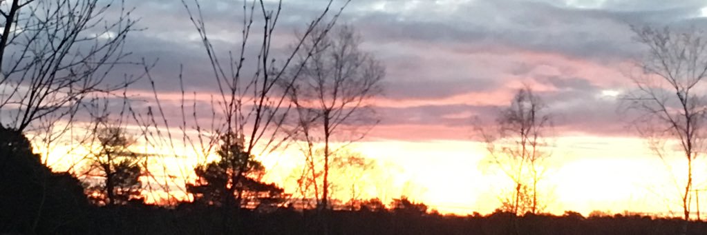 Emma Wilkinson banner