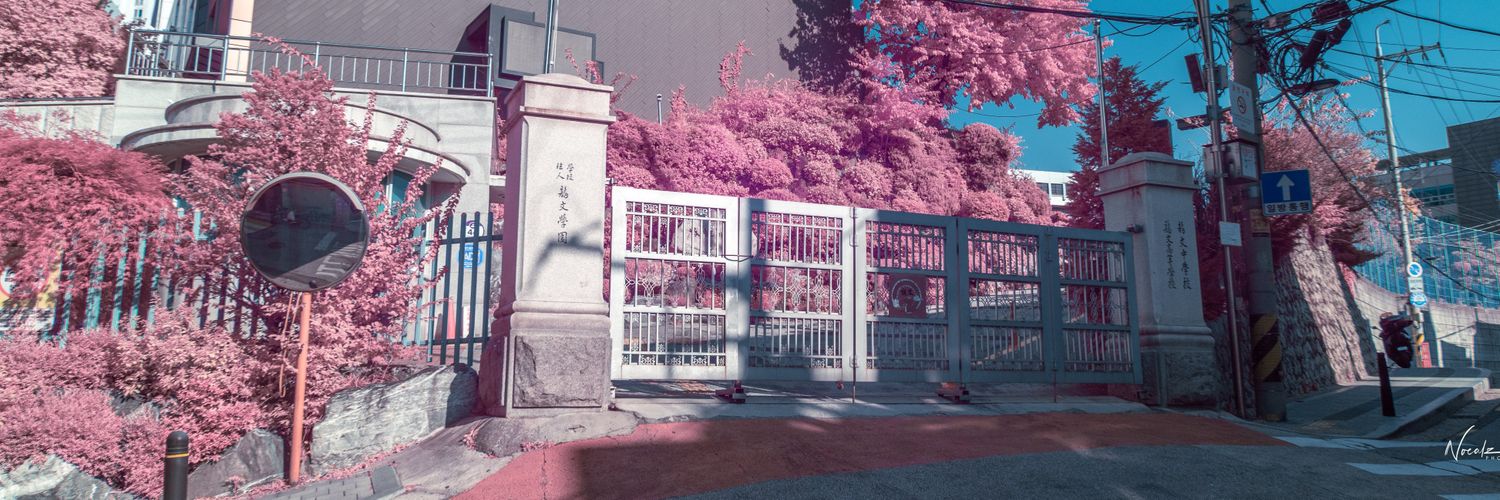 taegimetry's profile banner image