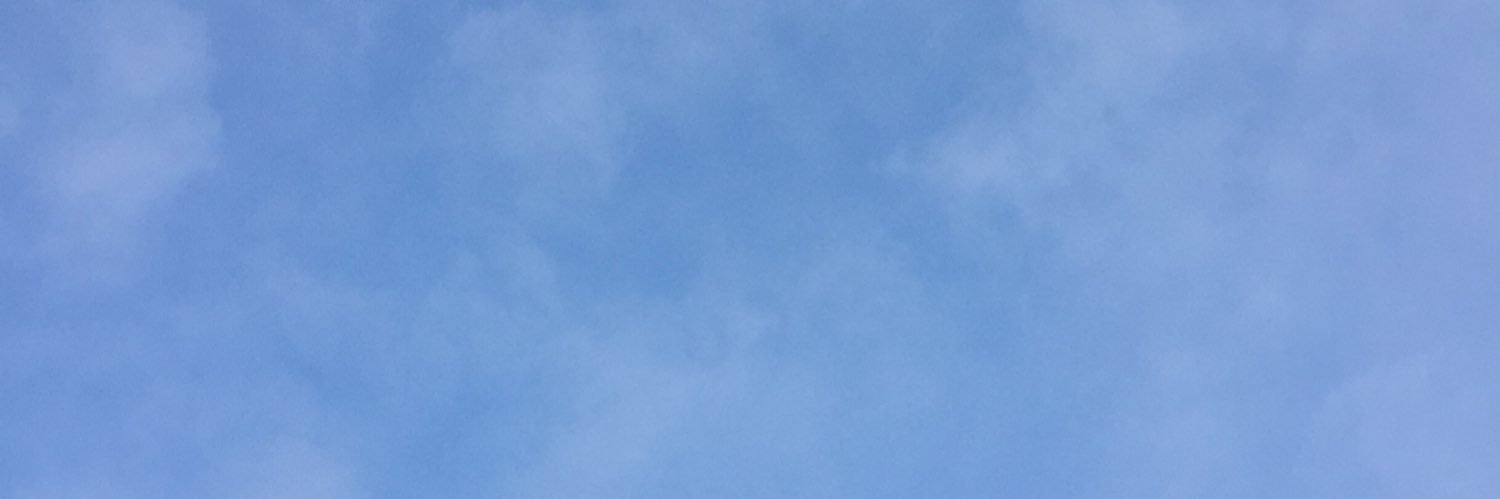 아리사 banner