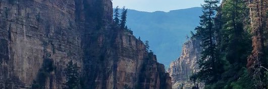 Rachel_AnneT's profile banner image