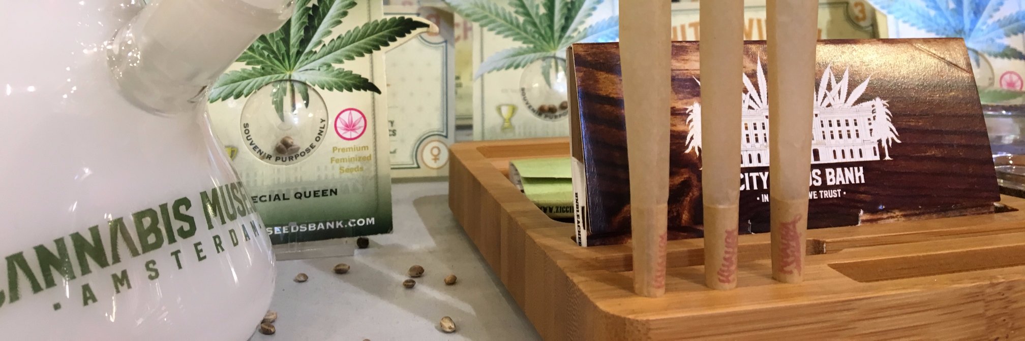 CITYSEEDSBANK's profile banner image