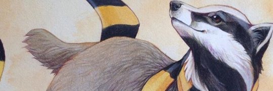 LuRumbo's profile banner image
