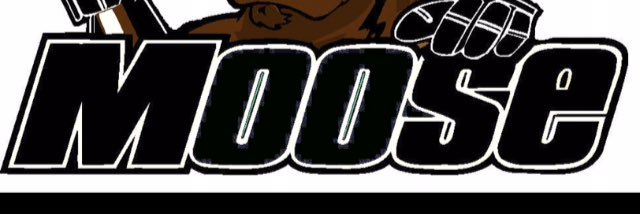 Minesing Moose 1-1 banner