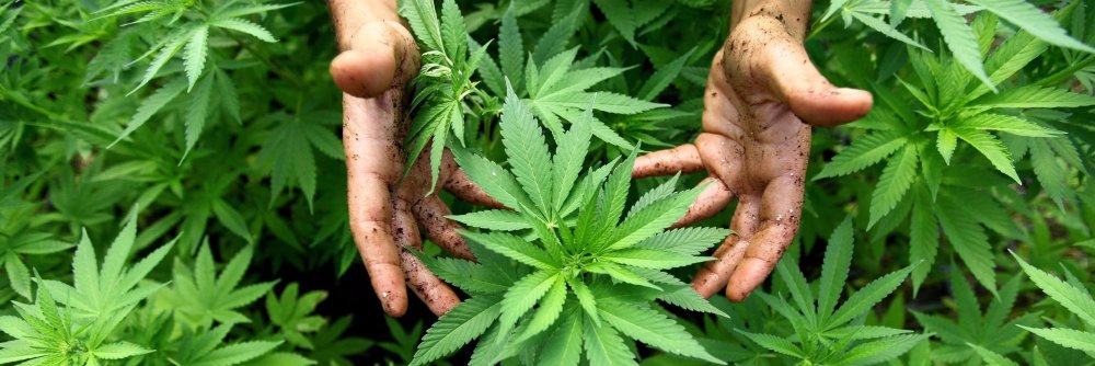 Two Rivers Wellness banner