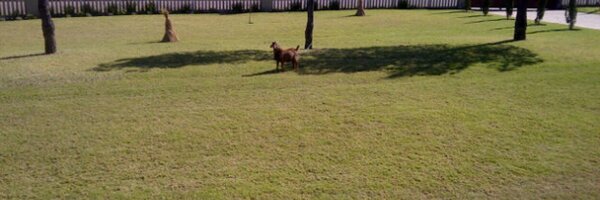 xolanijg Profile Banner