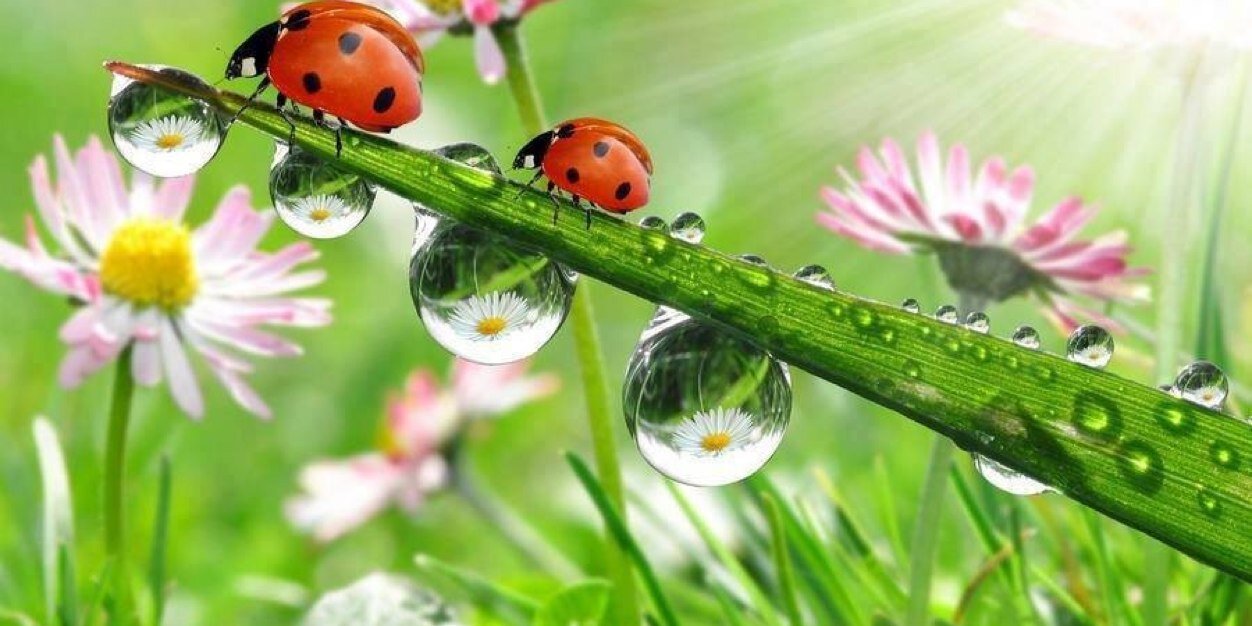 DuarteFabiola's profile banner image