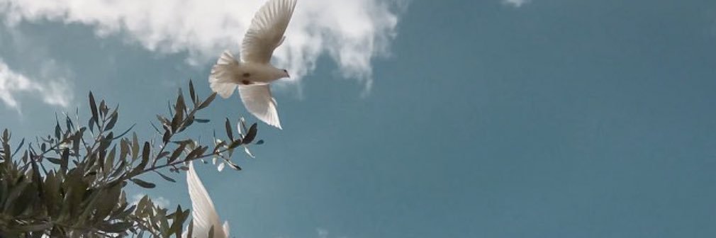 Ghazal__T's profile banner image